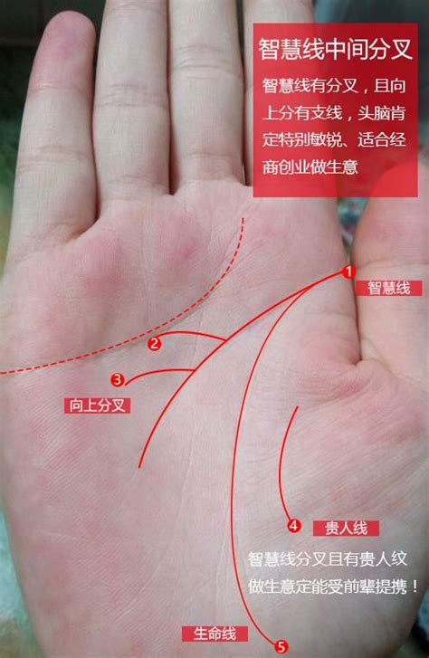 生命線斷開平行|為何生命線斷開是手相中的大忌？